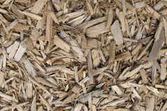 biomass boilers Rhiw