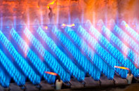 Rhiw gas fired boilers